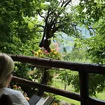 아파트 Le Corone - Nel Bosco *