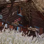 Appartement Le Corone - Nel Bosco Cavalo
