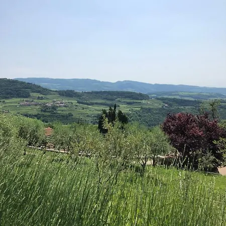 Le Corone - Nel Bosco * Cavalo