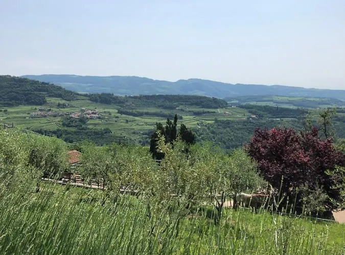 Le Corone - Nel Bosco * Cavalo