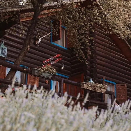 Apartment Le Corone - Nel Bosco Cavalo